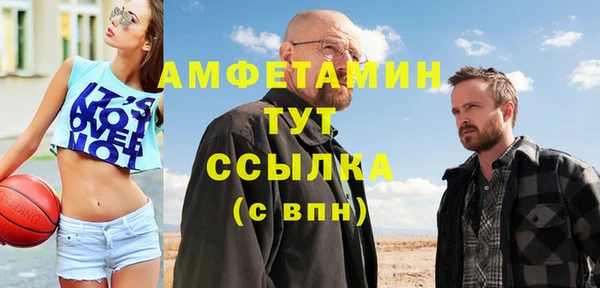 мет Алексин
