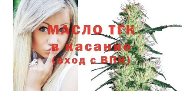 мет Алексин